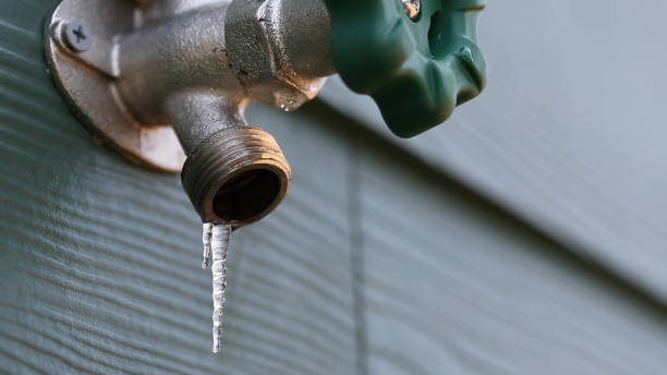 Best Water Leak Repair  in Oglethorpe, GA